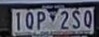 LP