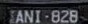 LP