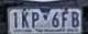 LP