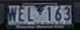 LP