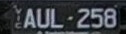 LP