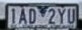 LP