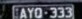 LP