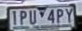 LP