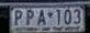 LP