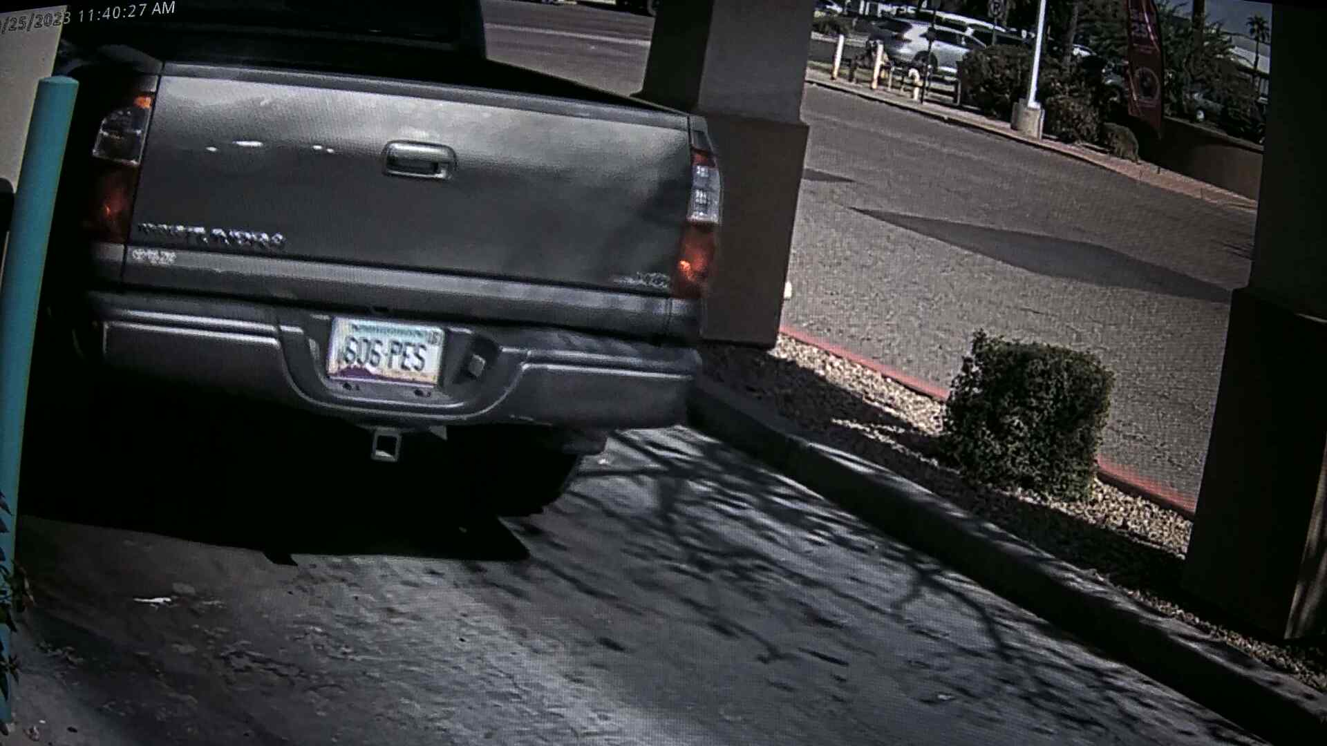 LP
